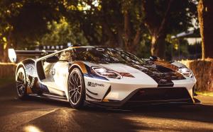 Ford GT MK II 2019 года